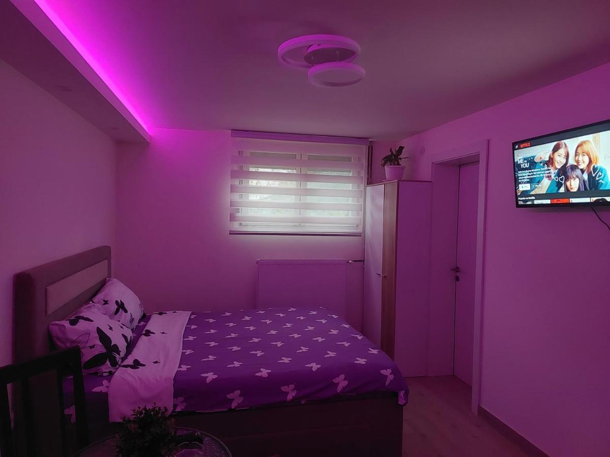 Apartman Zivkovic Лесковац Екстер'єр фото