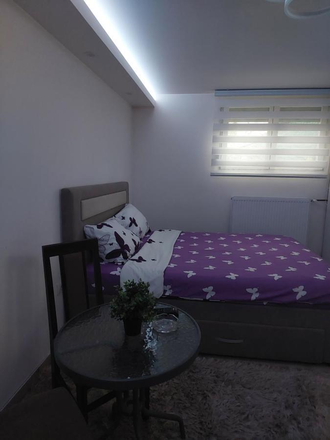 Apartman Zivkovic Лесковац Екстер'єр фото