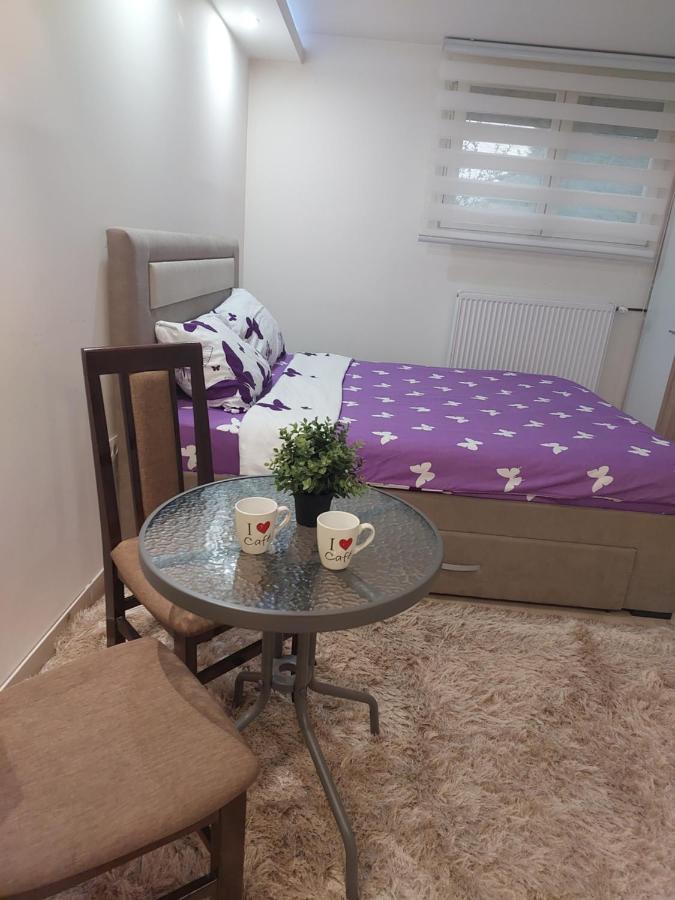 Apartman Zivkovic Лесковац Екстер'єр фото