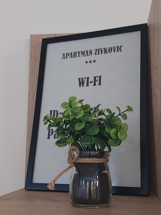 Apartman Zivkovic Лесковац Екстер'єр фото
