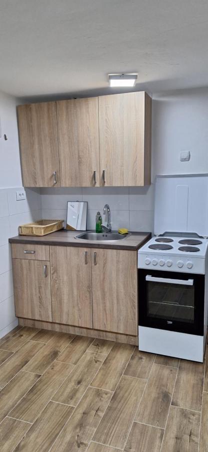 Apartman Zivkovic Лесковац Екстер'єр фото