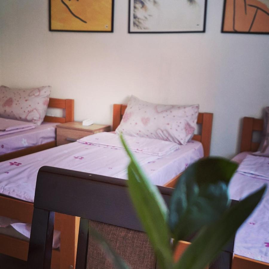 Apartman Zivkovic Лесковац Екстер'єр фото